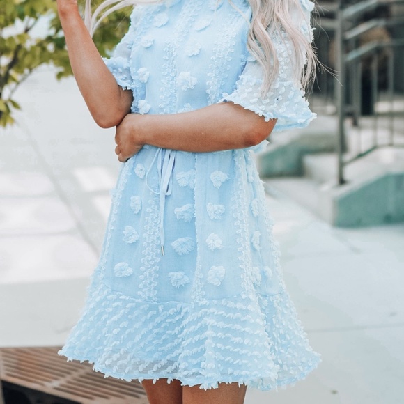 Sky Blue Crew Neck Swiss Dot Mini Dress – Size M - Picture 5 of 6